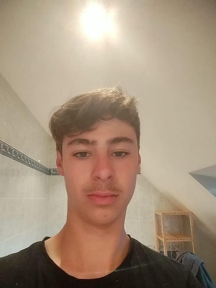 Profil von Davor